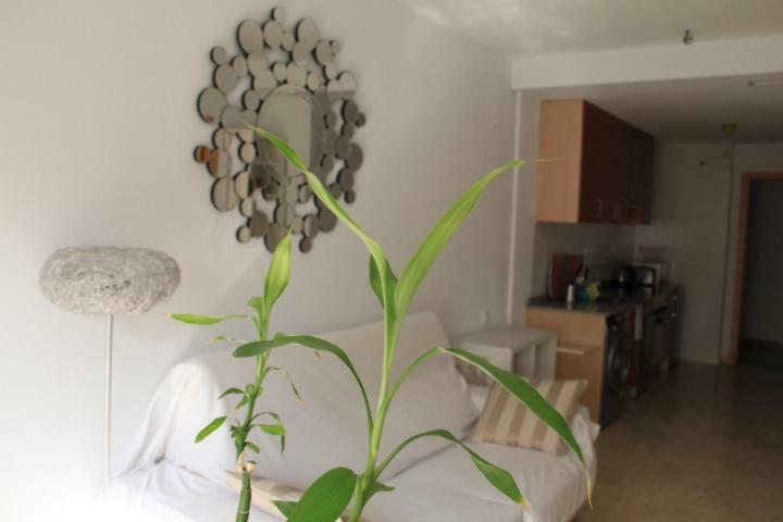 Sunny Apartments, Alicante Centre المظهر الخارجي الصورة