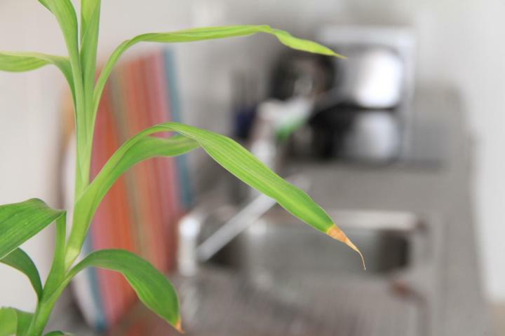 Sunny Apartments, Alicante Centre المظهر الخارجي الصورة